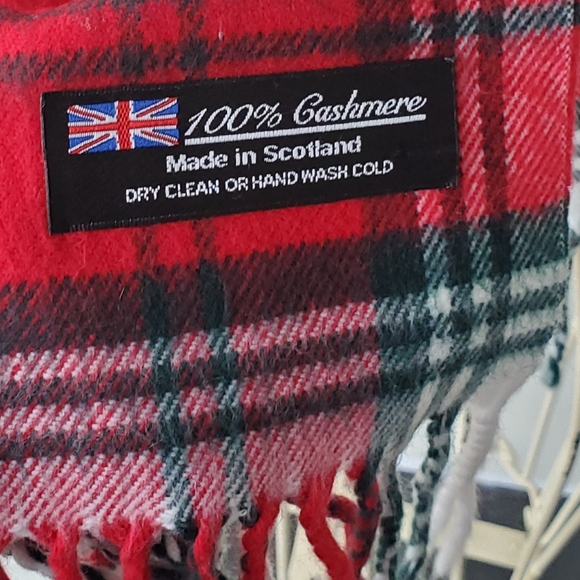 Cashmere Fringed Scarf - Picture 6 of 6